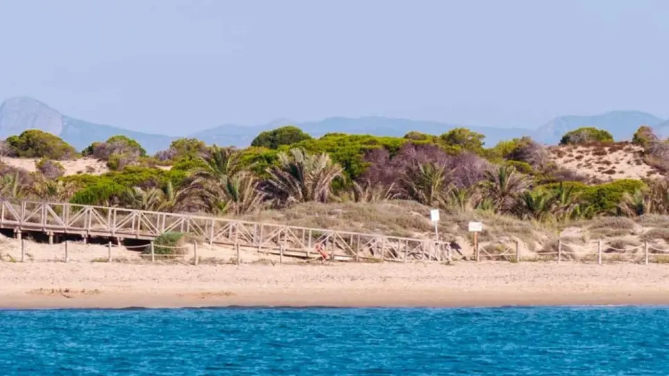 Los Tusales - Playa natural en Guardamar: Guía completa