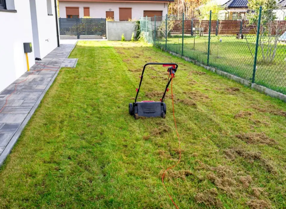 Wertykulacja trawnika - kiedy i jak? Uniknij błędów!