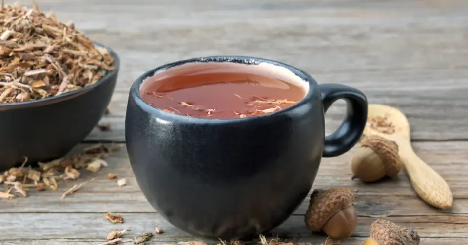 Kora dębu na dziąsła - Jak przygotować odwar i kiedy naprawdę pomaga?