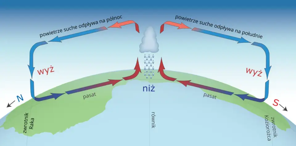 Wiatr - jak i dlaczego powstaje? Wskazówki nad wodę