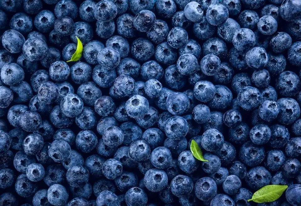 Borówki kcal - ile mają kalorii świeże, mrożone i suszone?