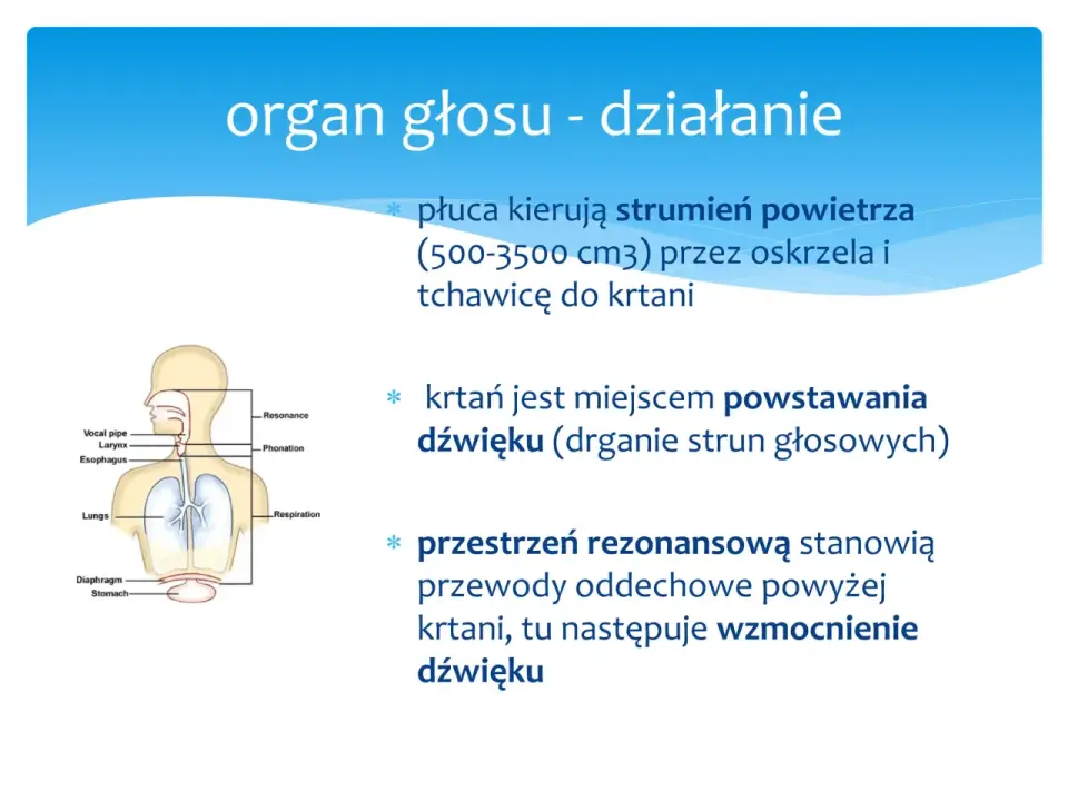 Rezonans głosu w śpiewie - piersiowy, głowowy i mieszany