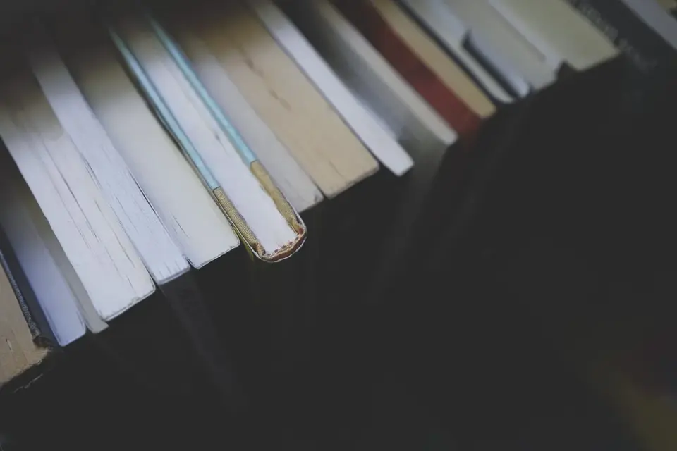 Determinizm a wolna wola - jak czytać świat i literaturę