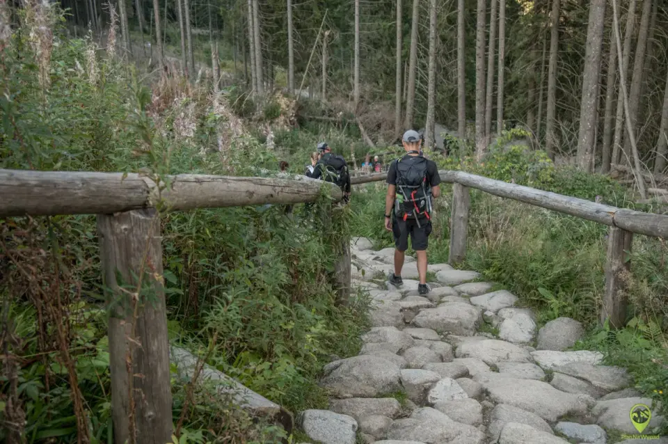 Palenica Białczańska i Morskie Oko - Plan na udany dzień w Tatrach