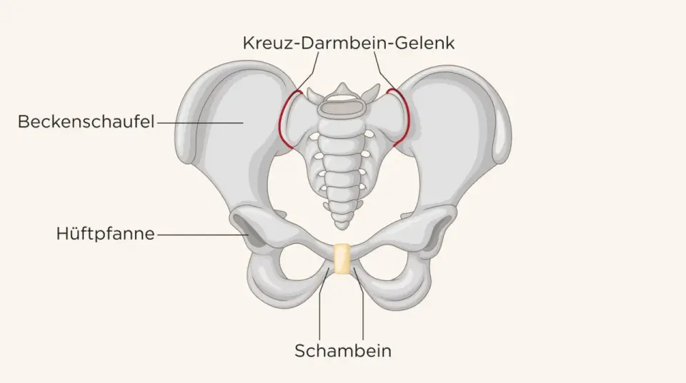 ISG einrenken - was bei Schmerzen wirklich hilft