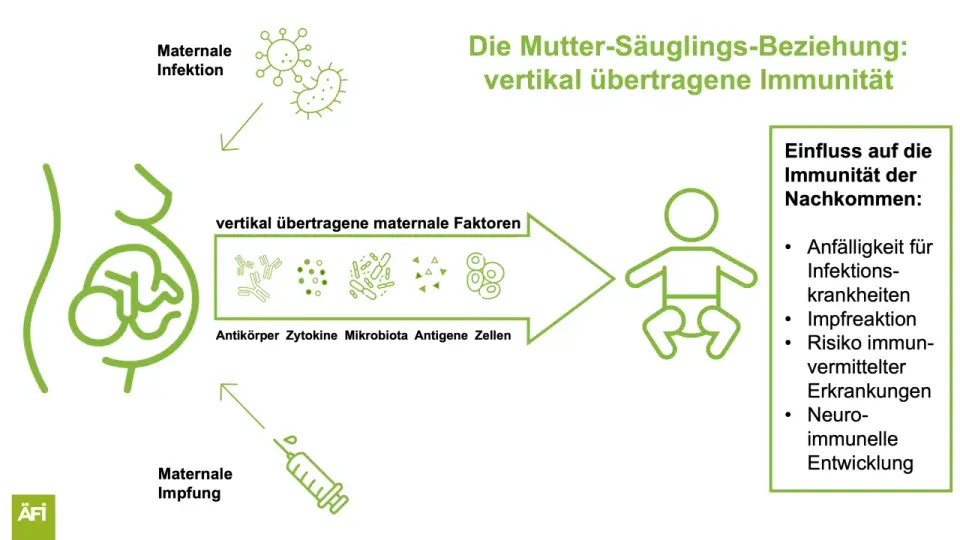 Boostrix - Wann die Tdap-Auffrischung wirklich wichtig ist