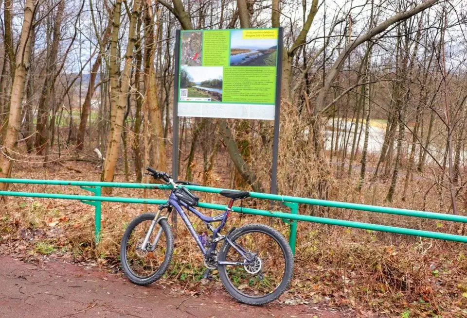 Trasy rowerowe Żywiec: Odkryj najlepsze szlaki [Przewodnik]
