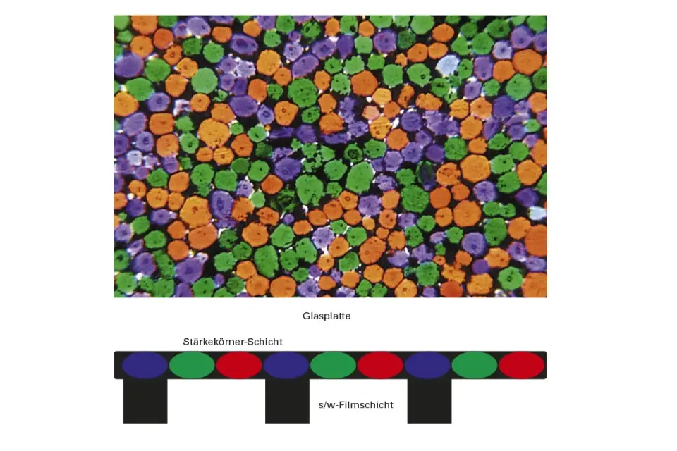 Primärfarben verstehen – Licht, Pigment, Druck meistern