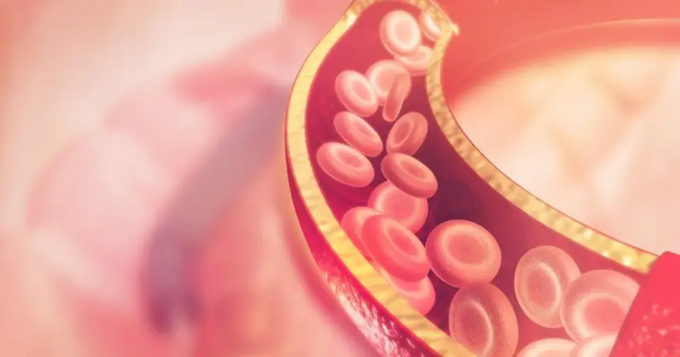 Lipoproteina(a) - cena, dostęp i interpretacja wyniku