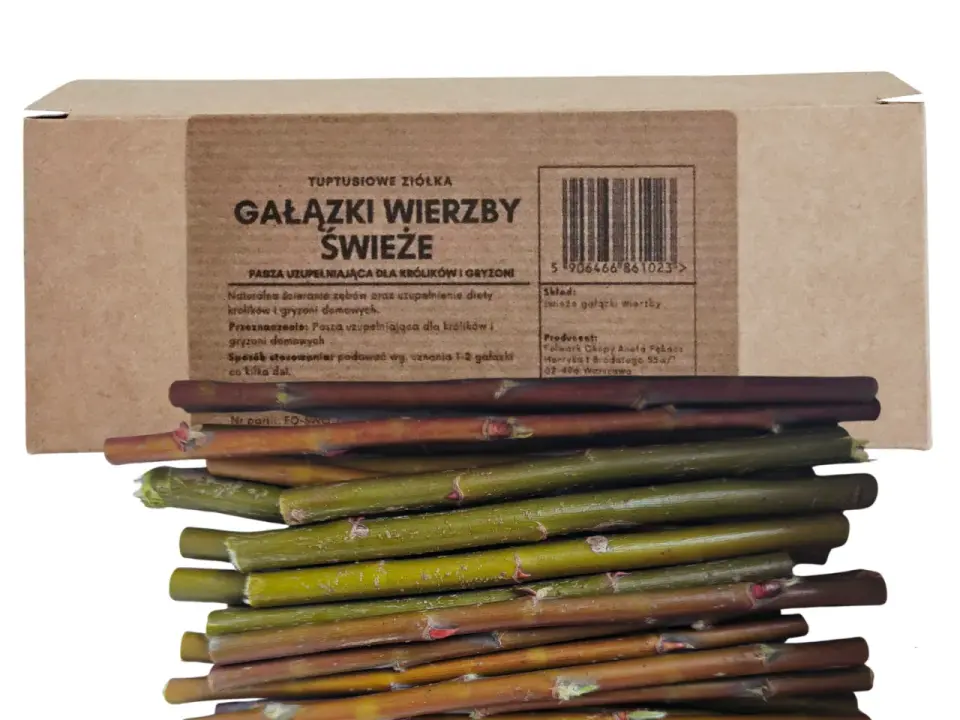 Czy królik może jeść gałązki wierzby? Sprawdź, jak podawać!