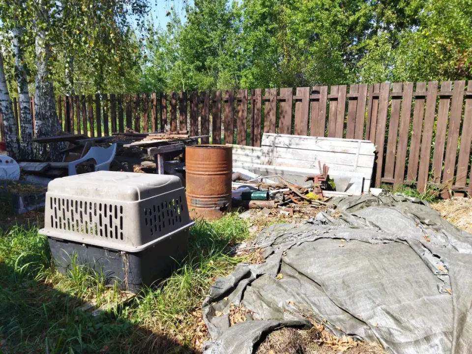 Uciążliwy sąsiad na wsi - Jak skutecznie odzyskać spokój?