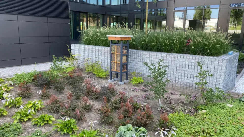 Hotel dla owadów - Zbuduj, uniknij wilgoci i przyciągnij pszczoły