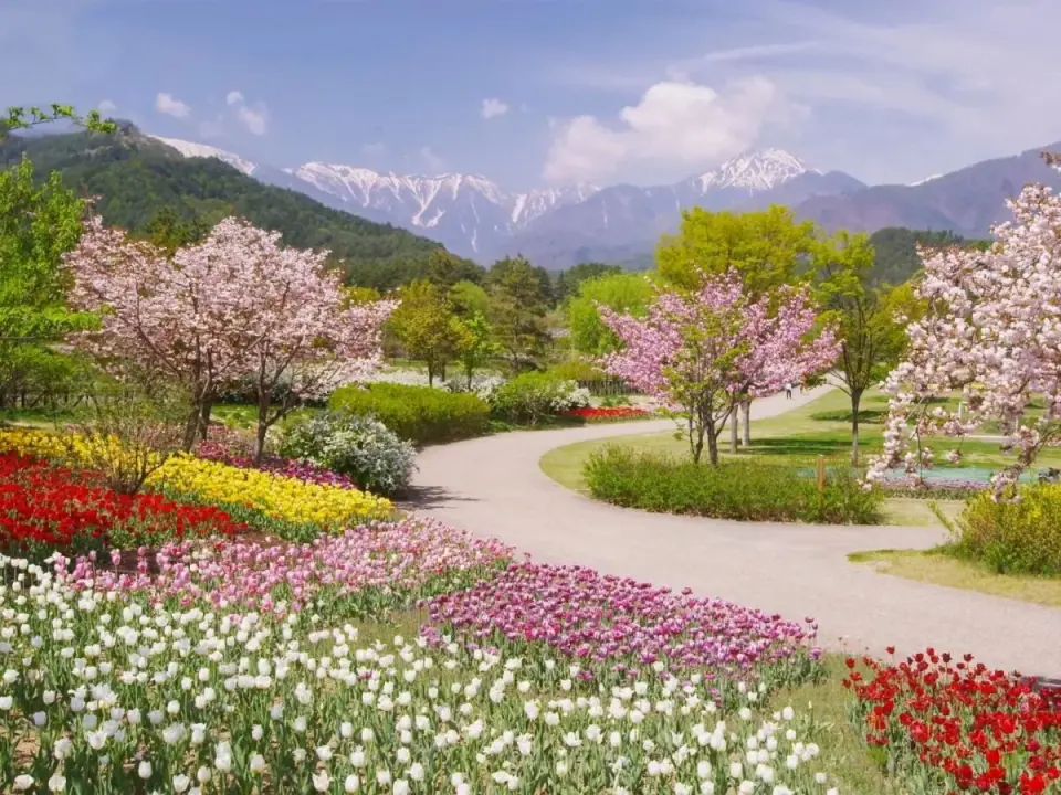 Jak powiedzieć "wiosna" po francusku? Le printemps i sekrety wymowy