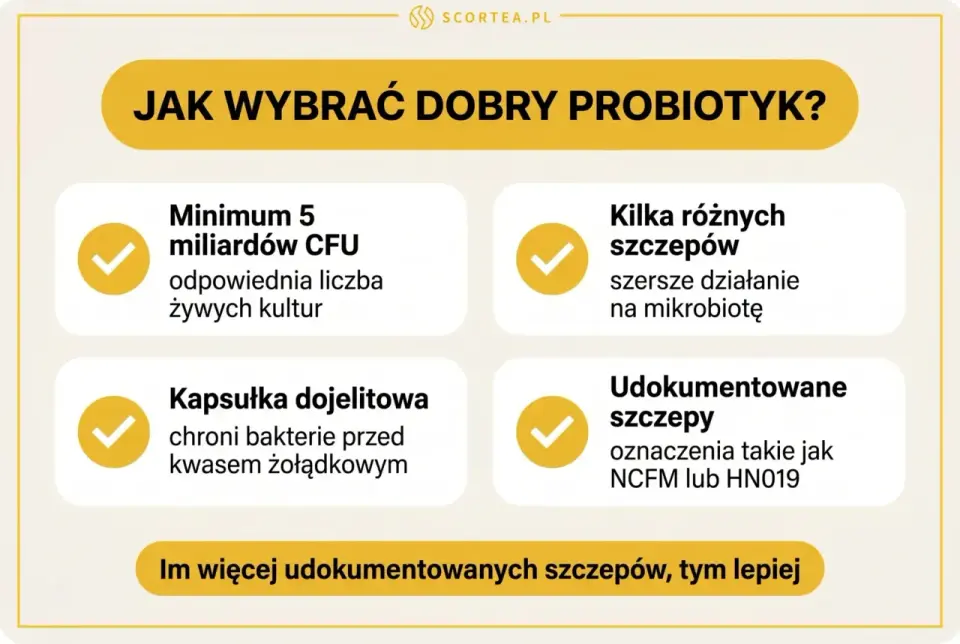 Dobry probiotyk dla dorosłych - jak wybrać i kiedy ma sens?