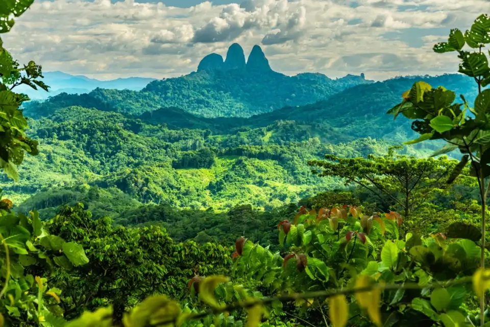 Brunei na Borneo - czy warto? Plan podróży i co zobaczyć