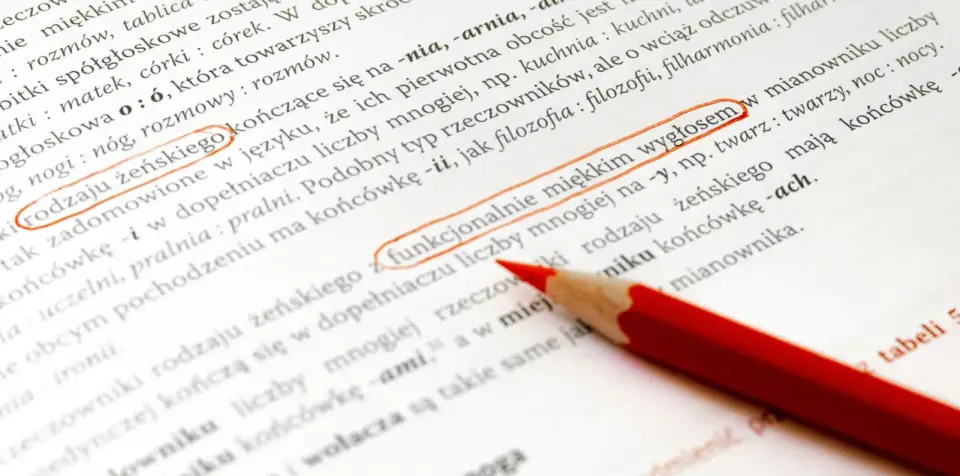 Co oznacza "nom."? Wyjaśniamy Mianownik i skróty