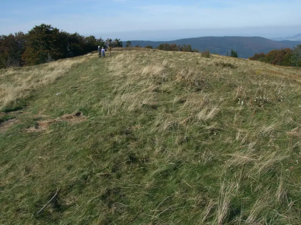 Polana Wyśnikówka - Mogielica, Tatry i trasy biegowe
