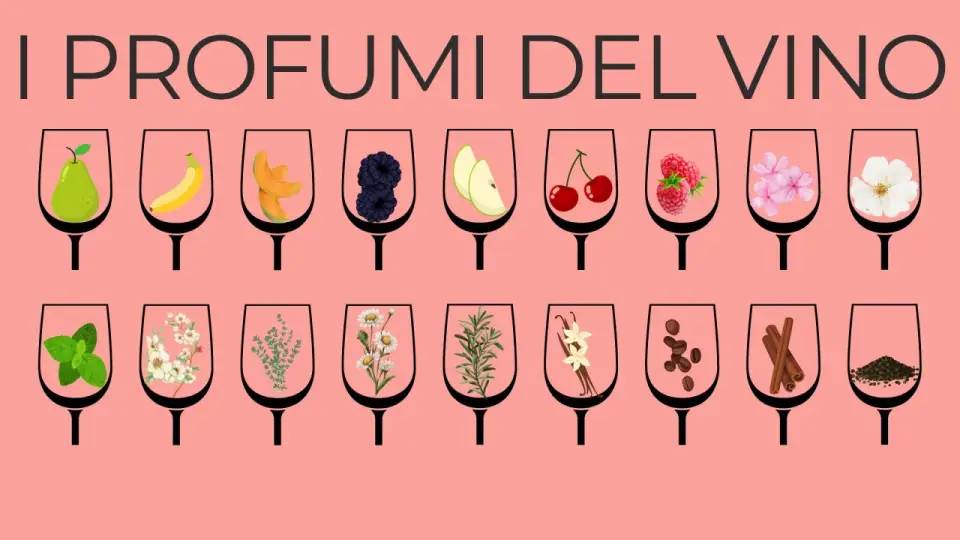 Vitigni aromatici italiani - profumi, stili e abbinamenti
