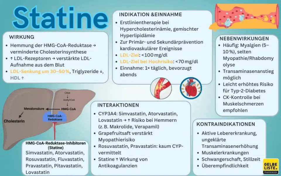 Pravastatin verstehen - Wirkung, Einnahme und Risiken