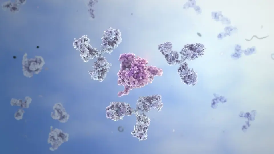 Immunoglobulina E - Czy wysoki wynik zawsze oznacza silną alergię?