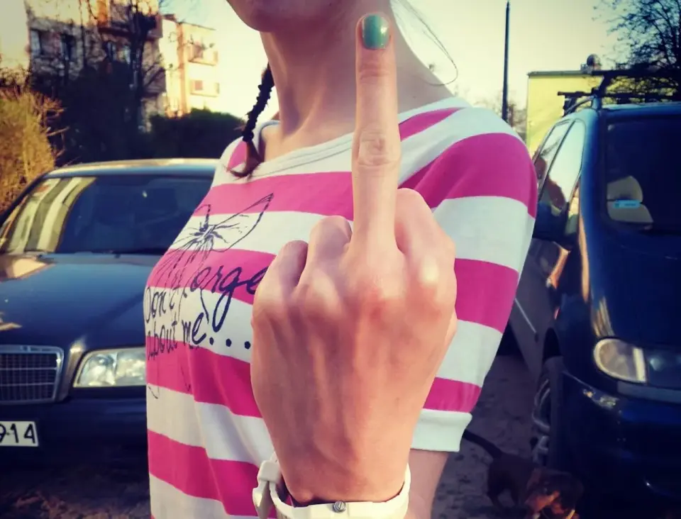 Pute po niemiecku: Wulgaryzm czy indyczka? Wyjaśniamy!