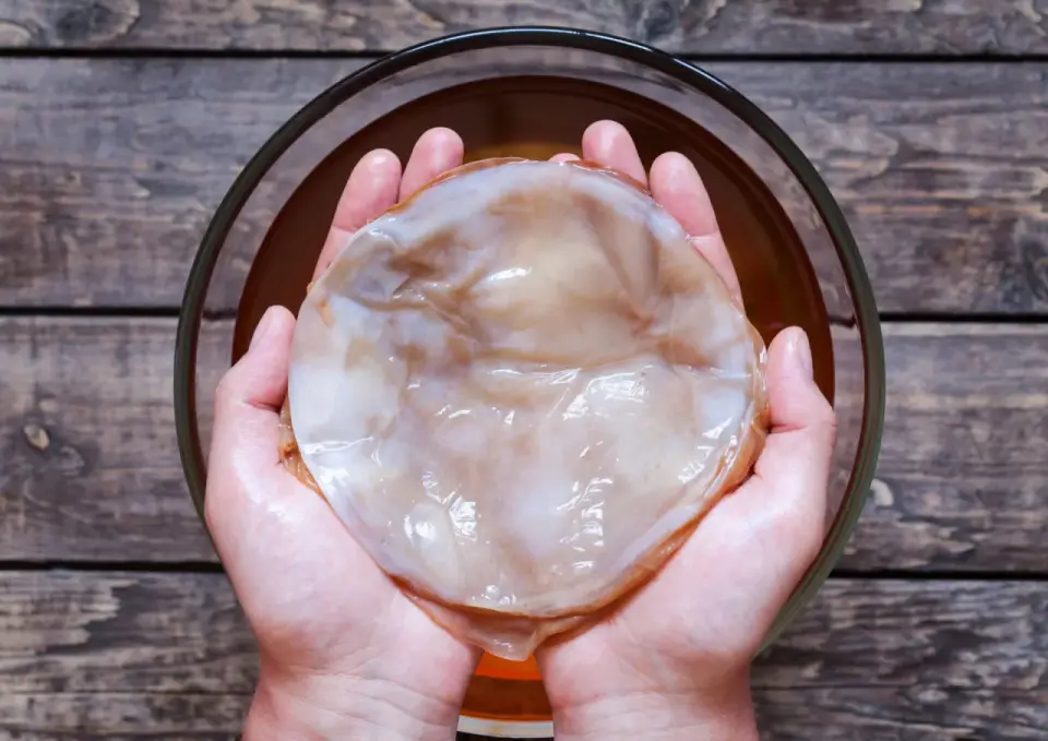 Kombucha - czym jest i co warto o niej wiedzieć