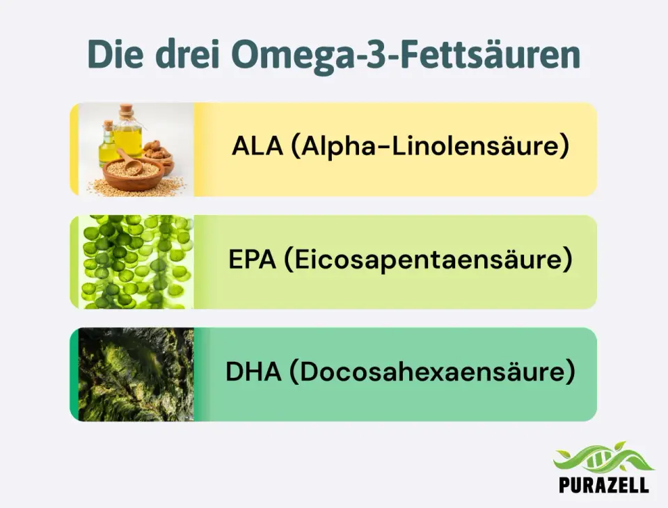 Wie viel Omega-3 am Tag sinnvoll ist