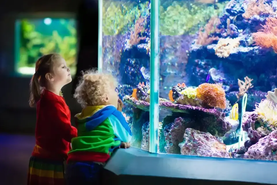 Oceanarium Katowice - Gdzie naprawdę warto pojechać?
