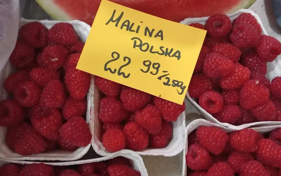 Cena malin - Jak czytać rynek i sprzedawać z zyskiem?