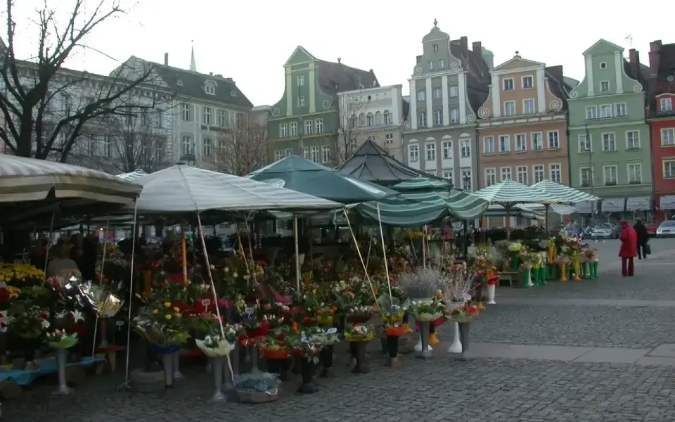 Plac Solny we Wrocławiu - co warto zobaczyć i kiedy przyjść?
