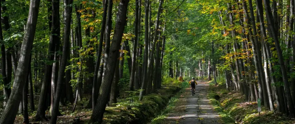 Sosnówka na spokojnie - zalew, kaplica i rodzinne trasy