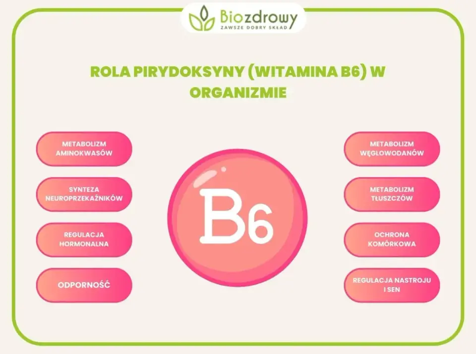 Witamina B6 - gdzie ją znaleźć i kiedy suplement ma sens?