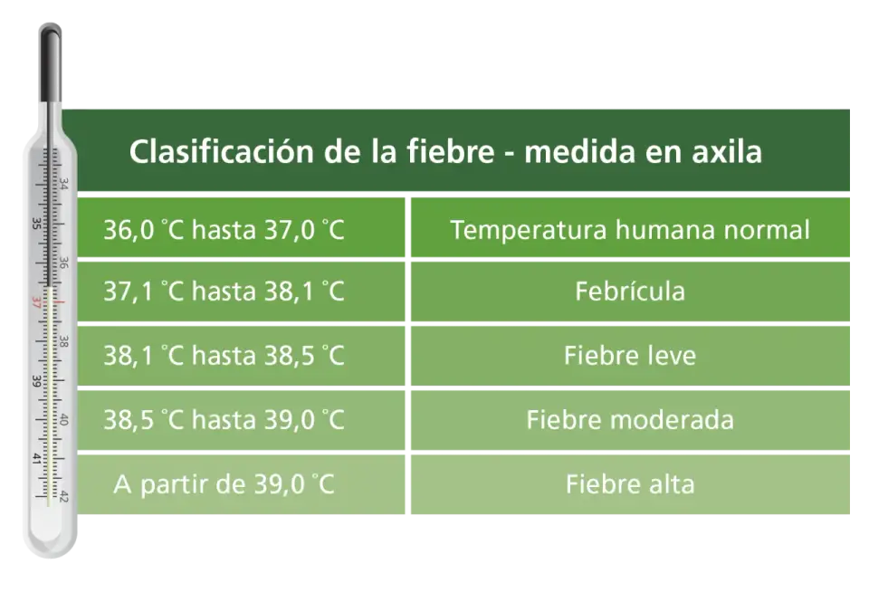 Fiebre en niños de 2 a 3 años, ¿cuándo preocuparse y qué hacer?