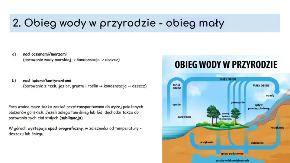 Wody oceaniczne - czym są, jak działają i dlaczego mają znaczenie?