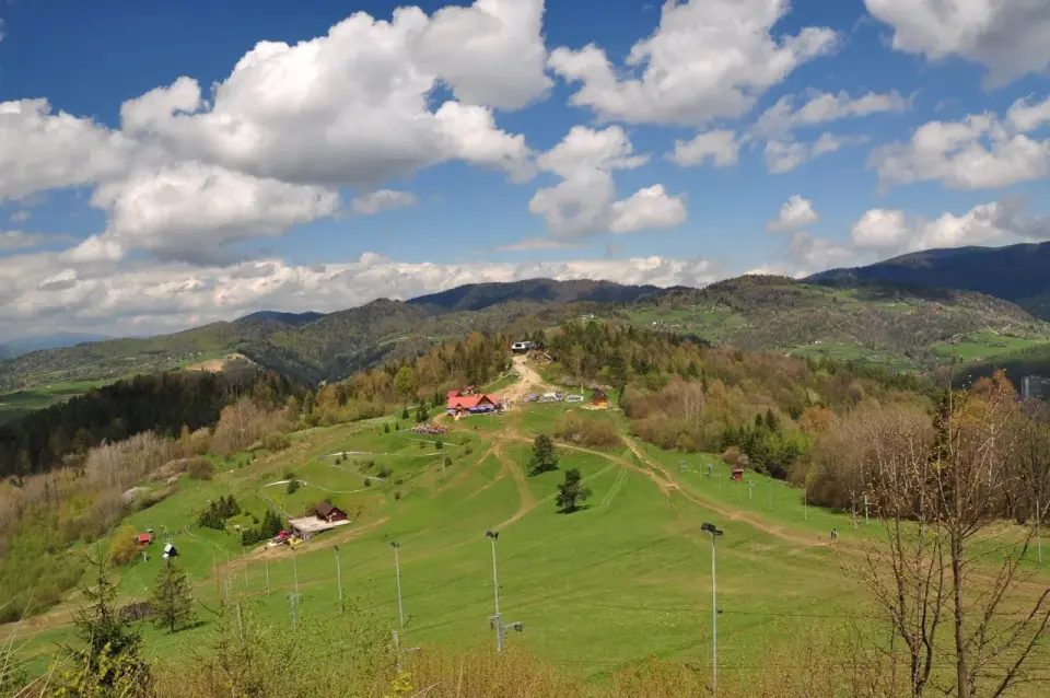 Palenica Szczawnica - Przewodnik po widokach i atrakcjach