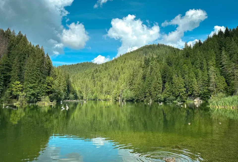 Góry Rumunii z dziećmi - najlepsze miejsca na pierwszy wyjazd