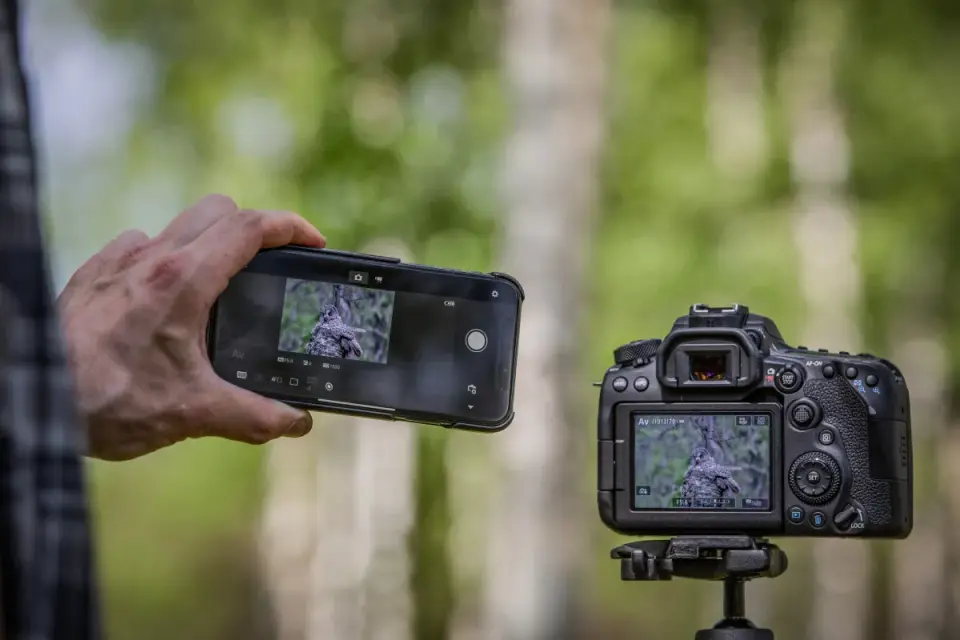 Canon EOS 90D - Czy ten DSLR nadal ma sens?
