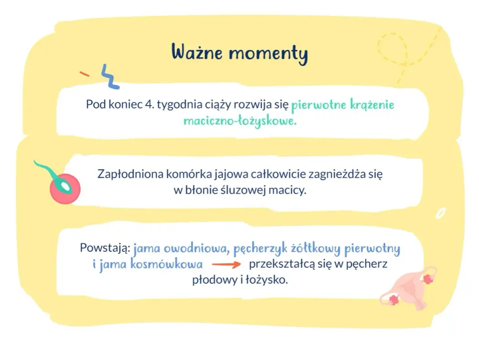 Zagnieżdżenie zarodka - kiedy następuje i co oznacza?