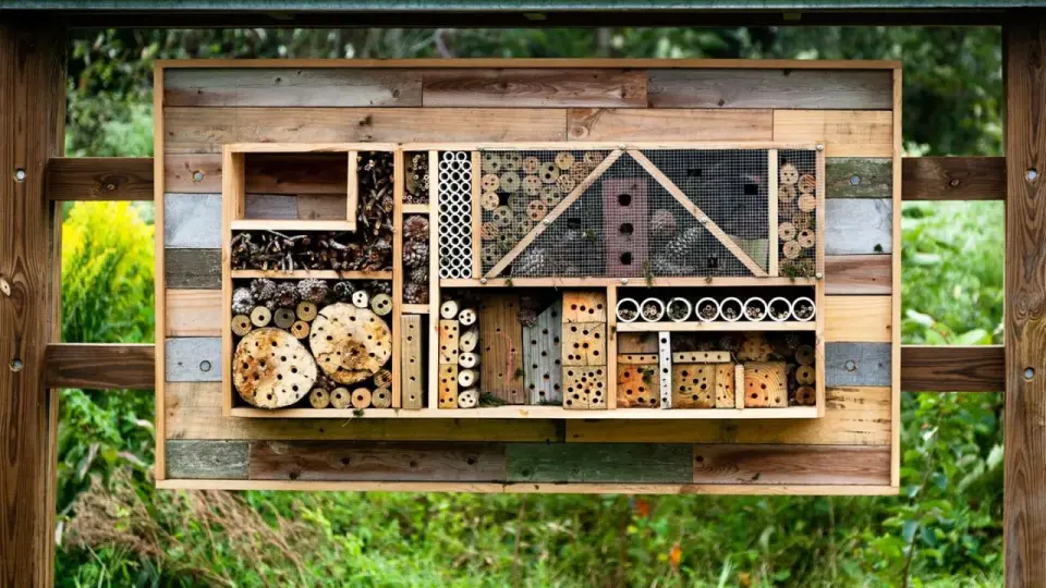 Wildbienenhotel selber bauen - so wird es wirklich angenommen