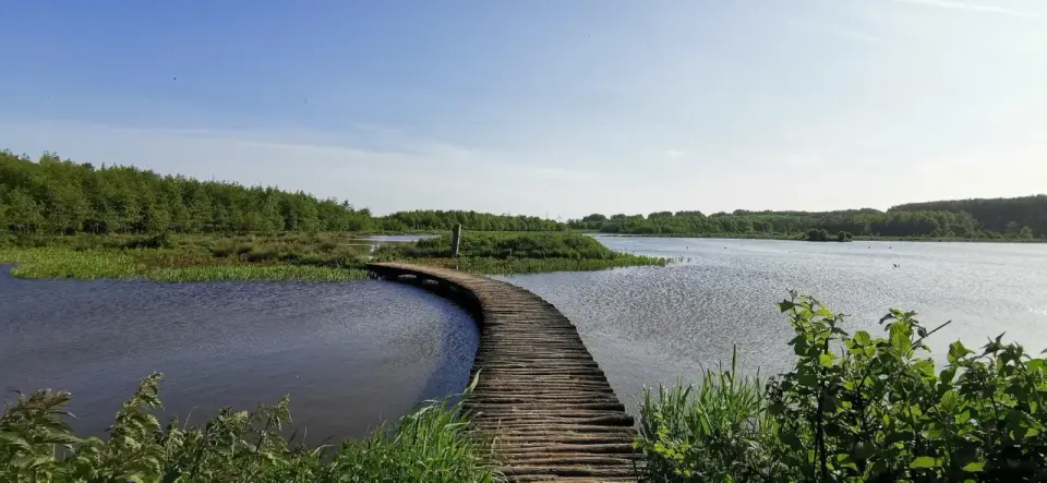 South Holland Walks - Your Guide to Diverse Landscapes