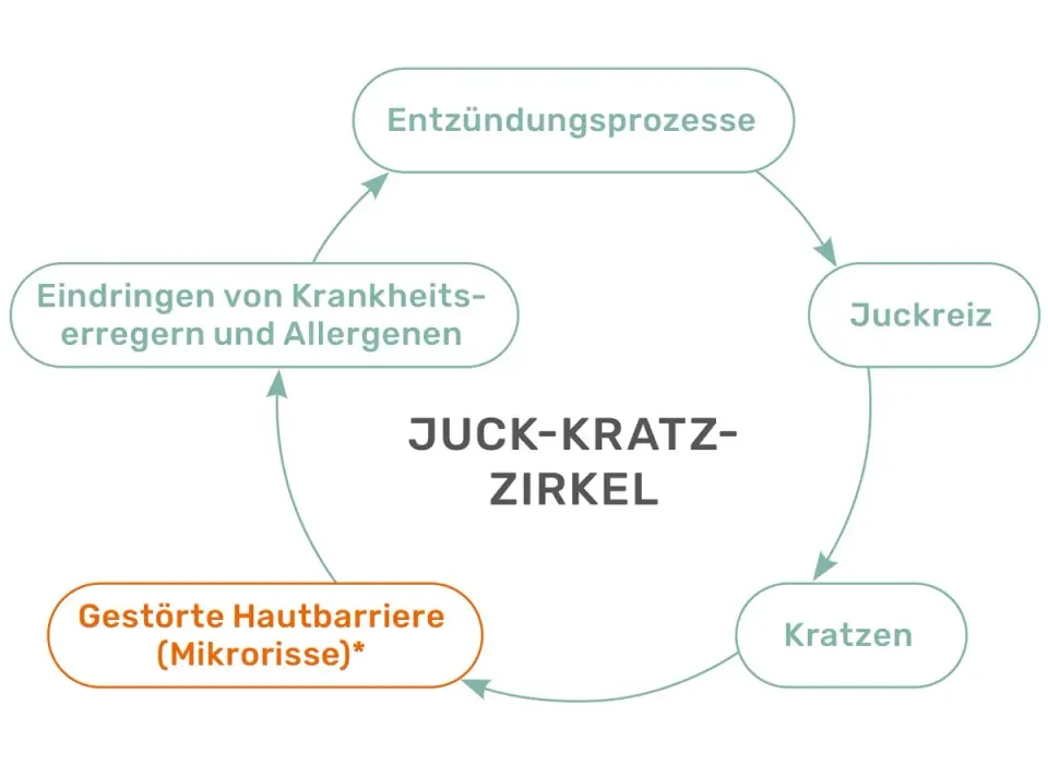 Juckreiz im Intimbereich - was Begleitsymptome verraten