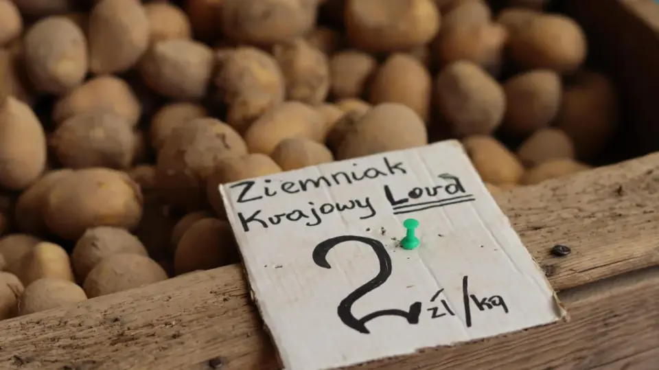 Cena ziemniaków w Polsce - Skup, hurt, targowisko. Sprawdź!