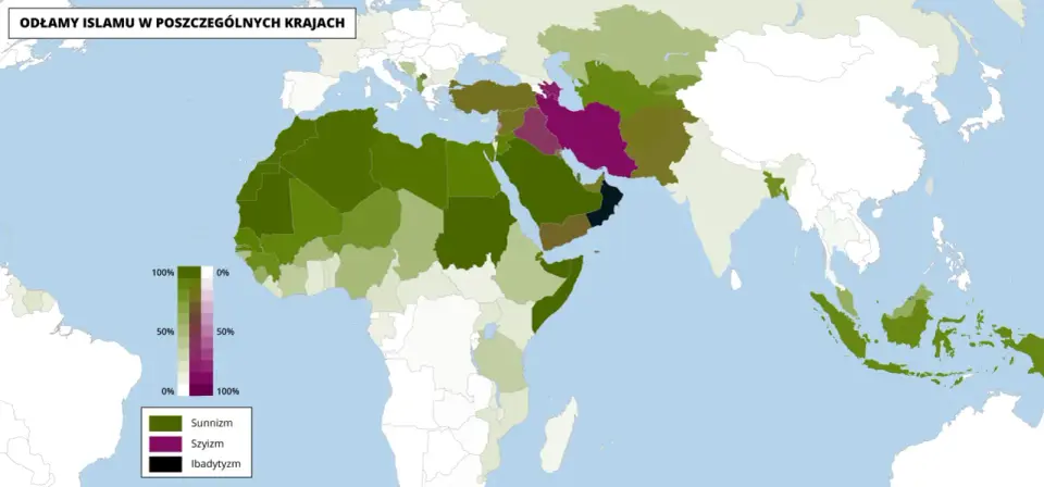 Kim są szyici - Poznaj historię rozłamu i kluczowe różnice w islamie