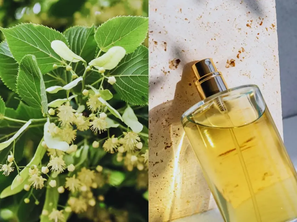 Marc-Antoine Barrois - Wybierz perfumy bez pudła