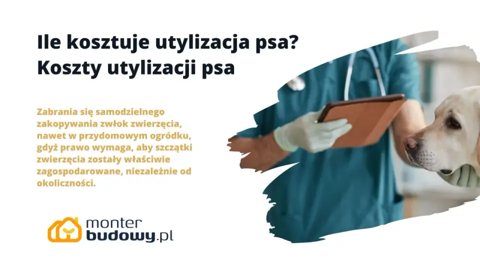 Utylizacja psa - Co zrobić po śmierci? Legalne opcje i koszty