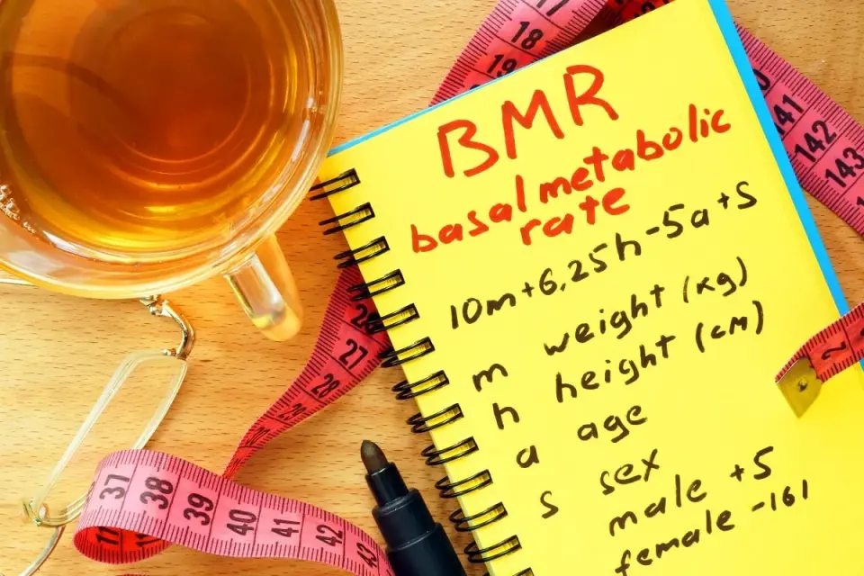 Wzór Harrisa-Benedicta - Jak liczyć PPM i CPM?