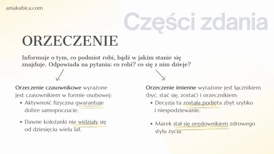 Czasownik - silnik zdania. Jak go rozpoznać i opanować?
