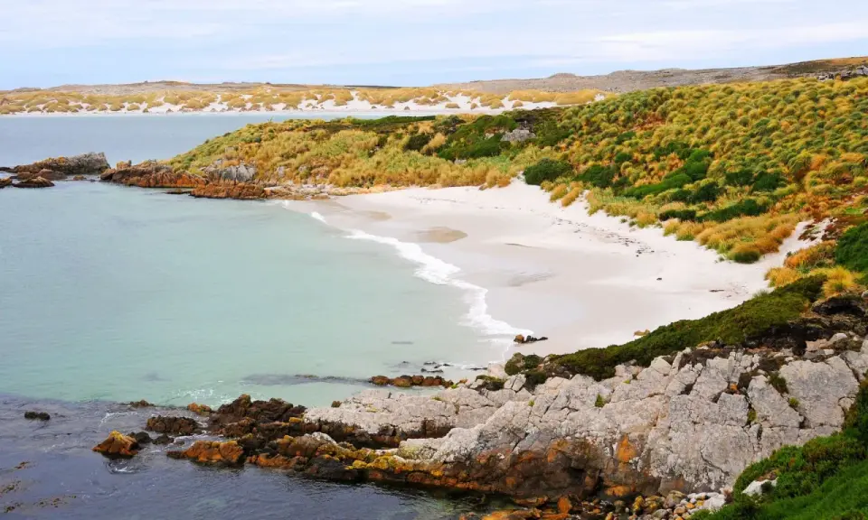 Falklandy - Jak zaplanować podróż, by nie żałować?