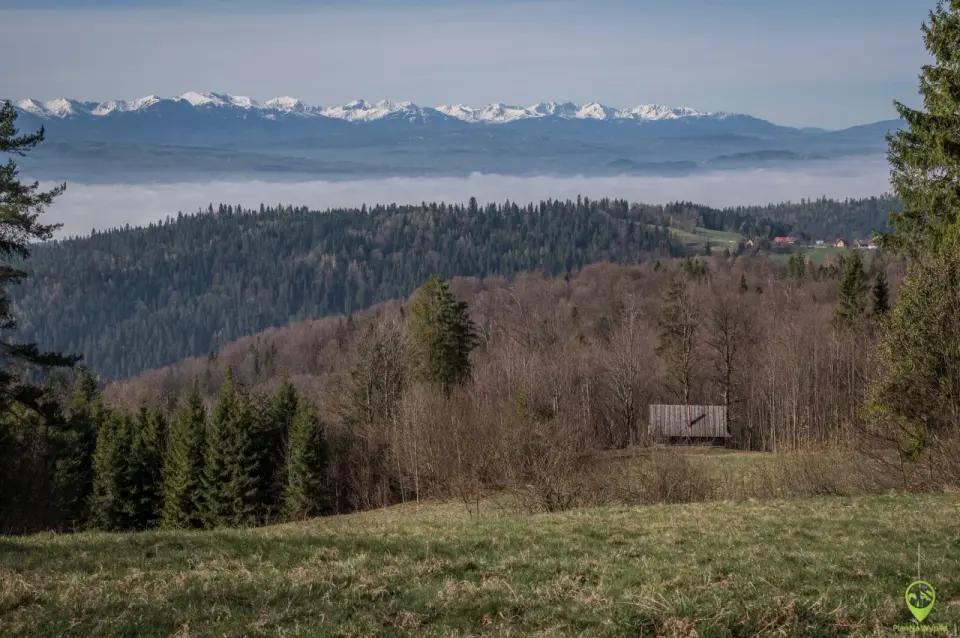 Gorce – Który szczyt wybrać? Turbacz, Gorc czy Jaworzyna?