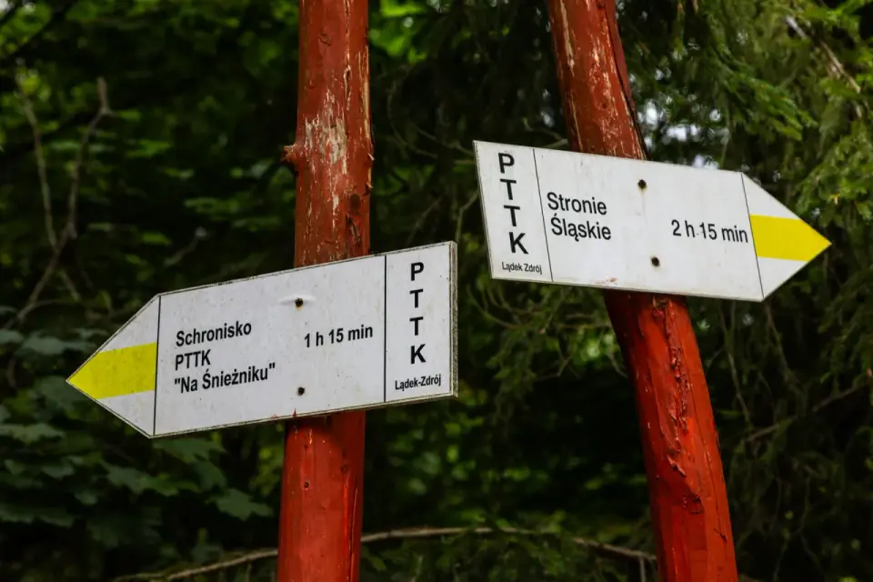 Ile się idzie na Śnieżnik - Sprawdź czasy z Międzygórza i Kletna